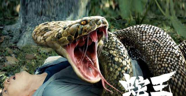 蛇电影哪部最好看