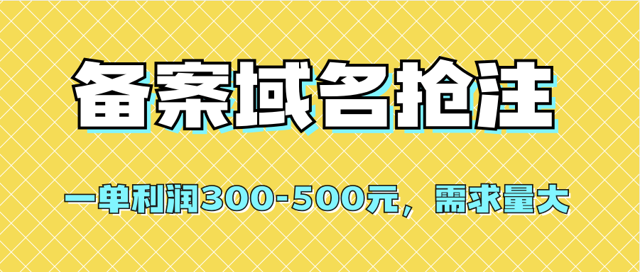 【全网首发】备案域名抢注，一单利润300