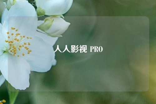 人人影视 PRO