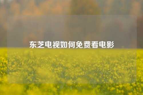 东芝电视如何免费看电影