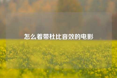 怎么着带杜比音效的电影