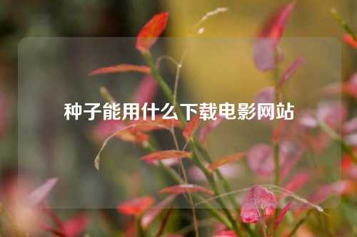 种子能用什么下载电影网站