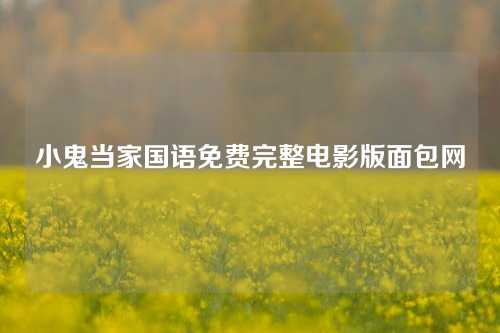 小鬼当家国语免费完整电影版面包网