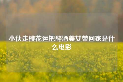 小伙走桃花运把醉酒美女带回家是什么电影