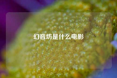 幻音坊是什么电影