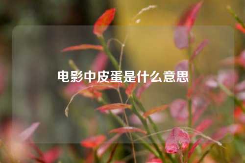 电影中皮蛋是什么意思