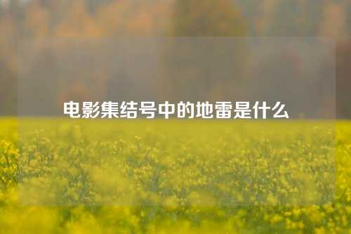 电影集结号中的地雷是什么