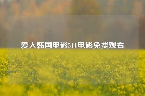 爱人韩国电影511电影免费观看