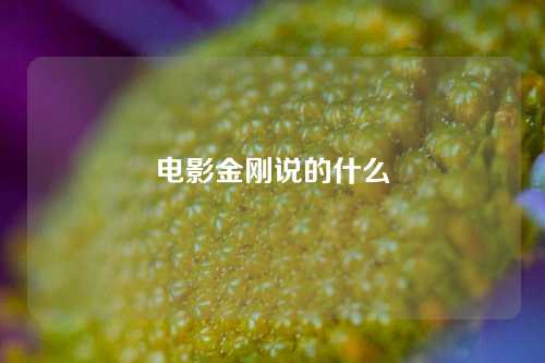 电影金刚说的什么