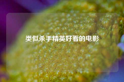 类似杀手精英好看的电影