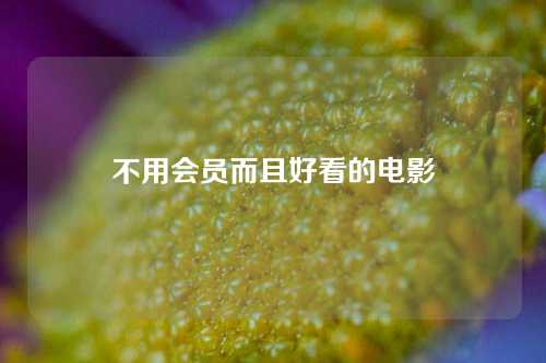 不用会员而且好看的电影