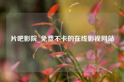 片吧影院_免费不卡的在线影视网站