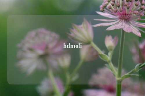 hdmoli