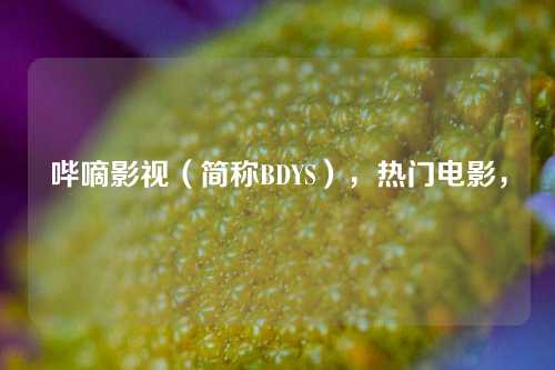 哔嘀影视（简称BDYS），热门电影，