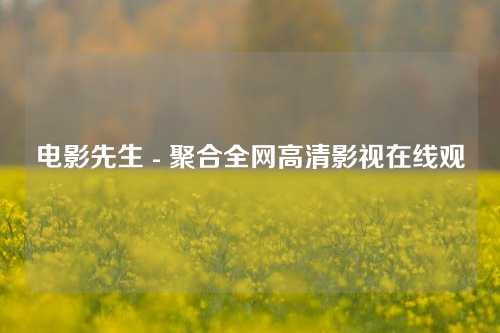 电影先生 - 聚合全网高清影视在线观