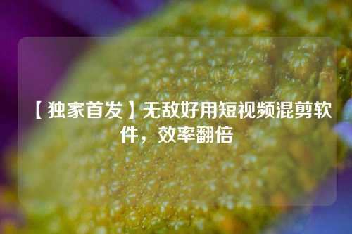 【独家首发】无敌好用短视频混剪软件，效率翻倍
