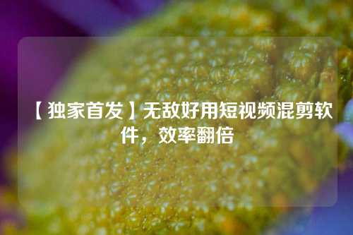 【独家首发】无敌好用短视频混剪软件，效率翻倍