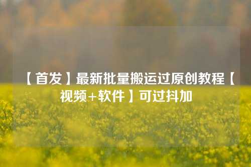 【首发】最新批量搬运过原创教程【视频+软件】可过抖加