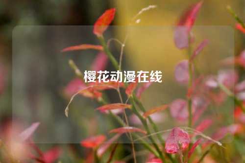 樱花动漫在线