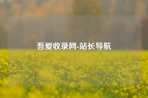 吾爱收录网-站长导航