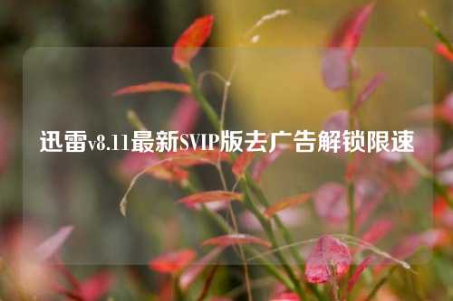 迅雷v8.11最新SVIP版去广告解锁限速