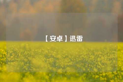 【安卓】迅雷