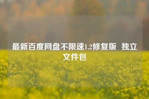 最新百度网盘不限速1.2修复版  独立文件包