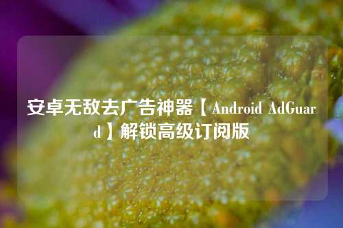 安卓无敌去广告神器【Android AdGuard】解锁高级订阅版
