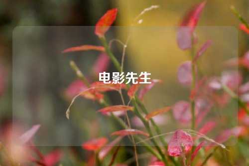 电影先生