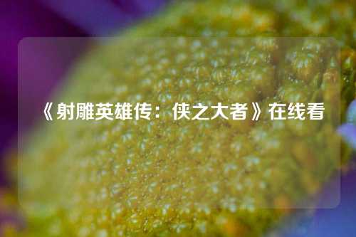 《射雕英雄传：侠之大者》在线看